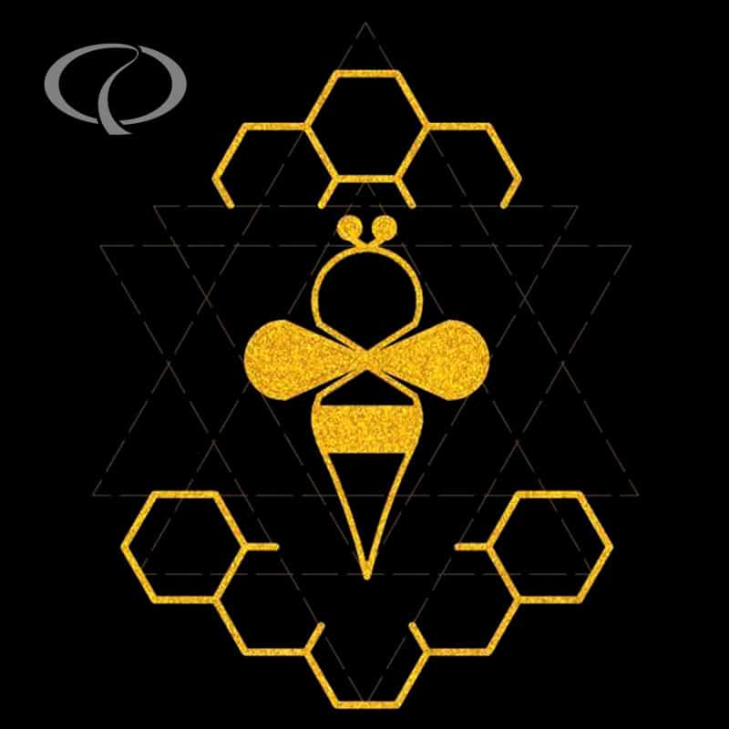 Vẽ mũi thêu vi tính logo hình con ong