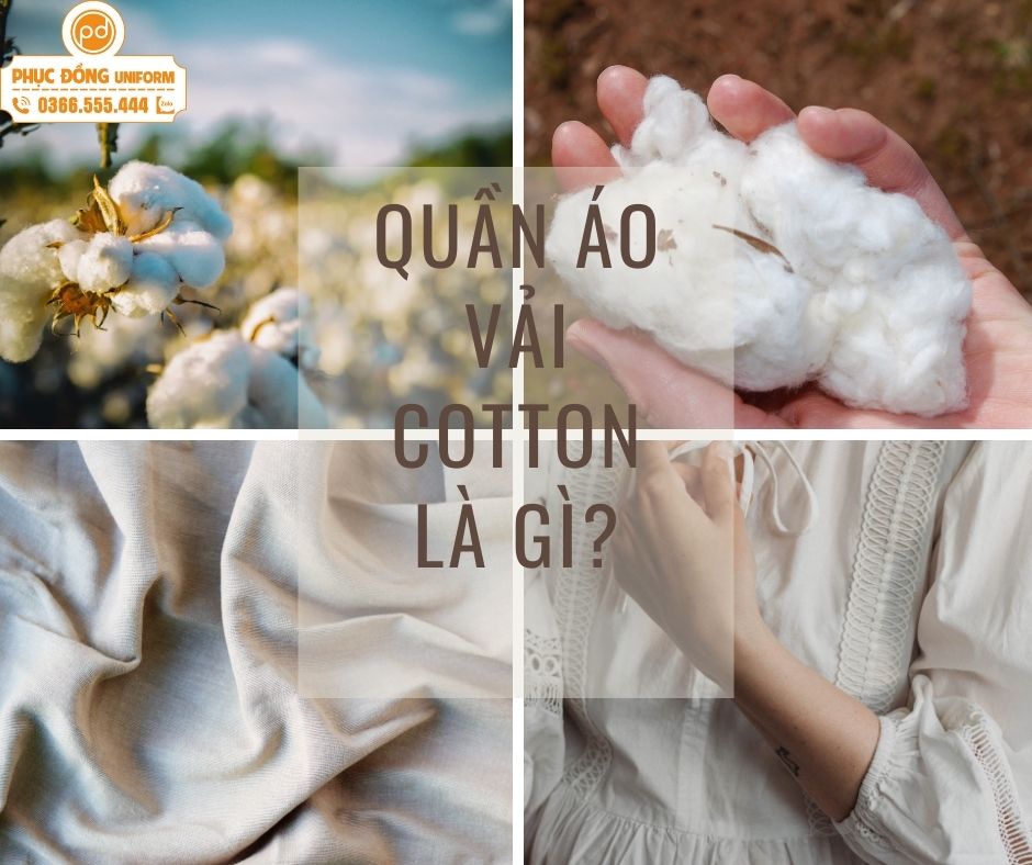 Quần áo cotton là gì?