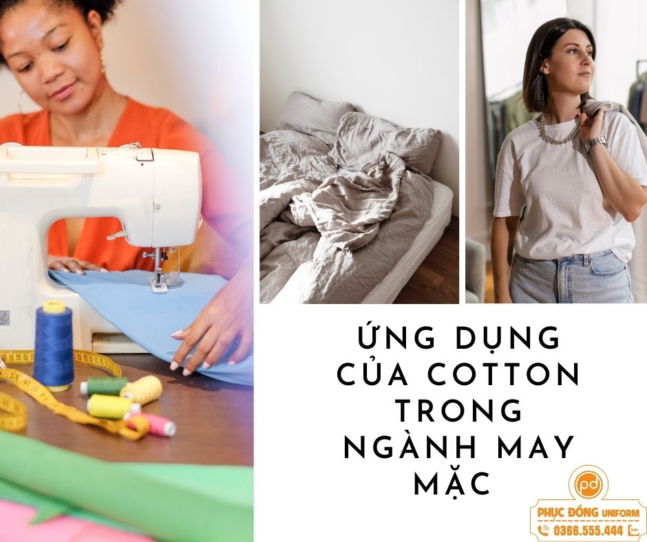 quan ao cotton 2023 co uu nhuoc diem the nao 3 | Áo thun đồng phục|In áo đồng phục lớp|In áo nhóm|In áo thun