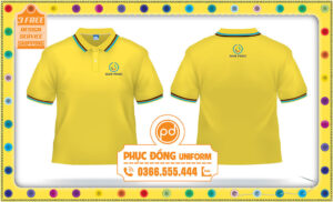 Áo thun công ty Nam Phúc